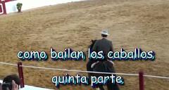 073 Villanueva de Alcardete como bailan los caballos 5